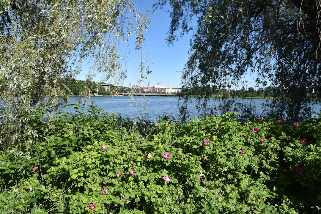 Nature reserve photo spot Töölönlahti Kerava