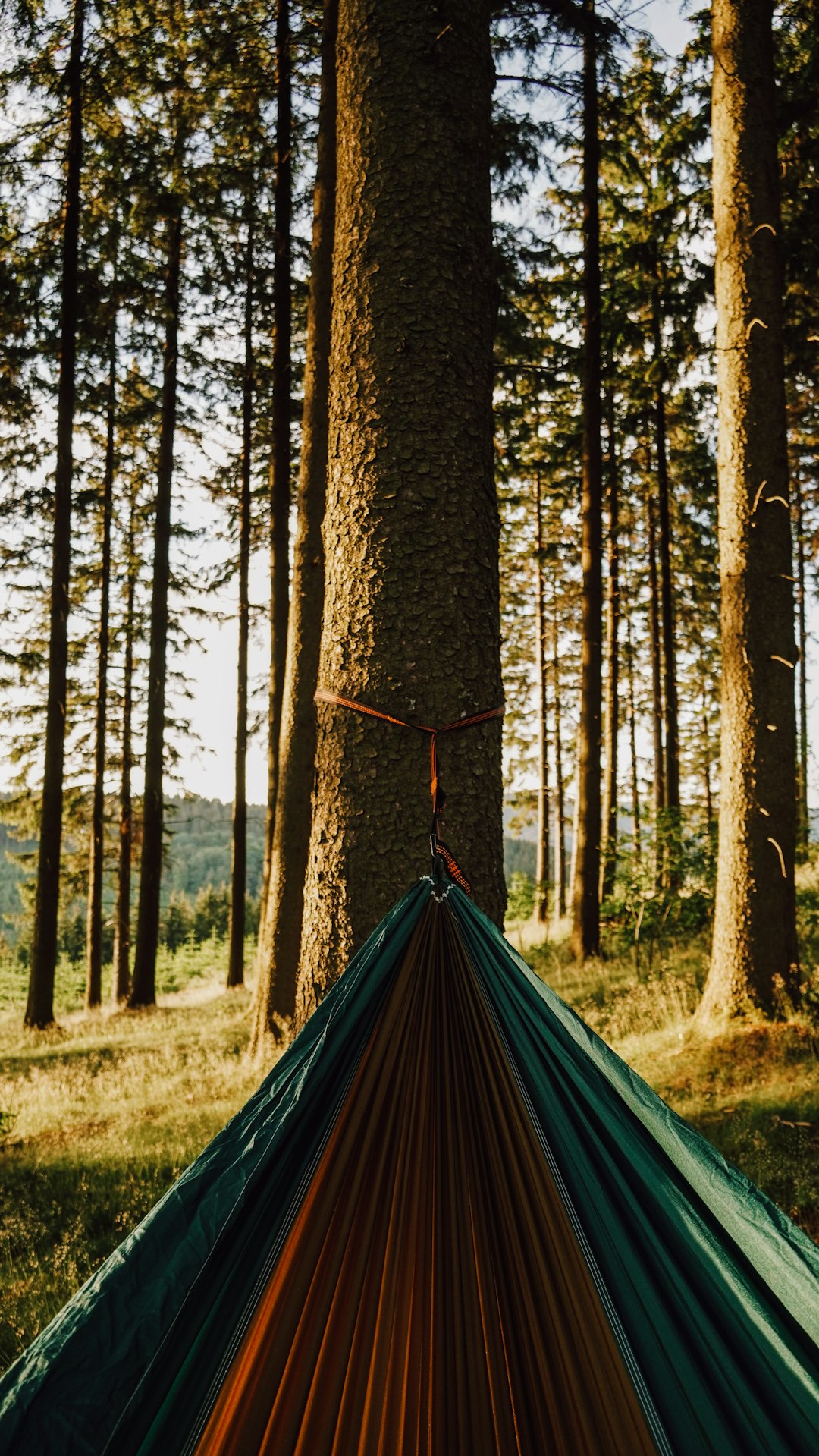 blue and green tent in the woods