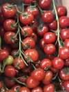 red cherry fruit on brown stick