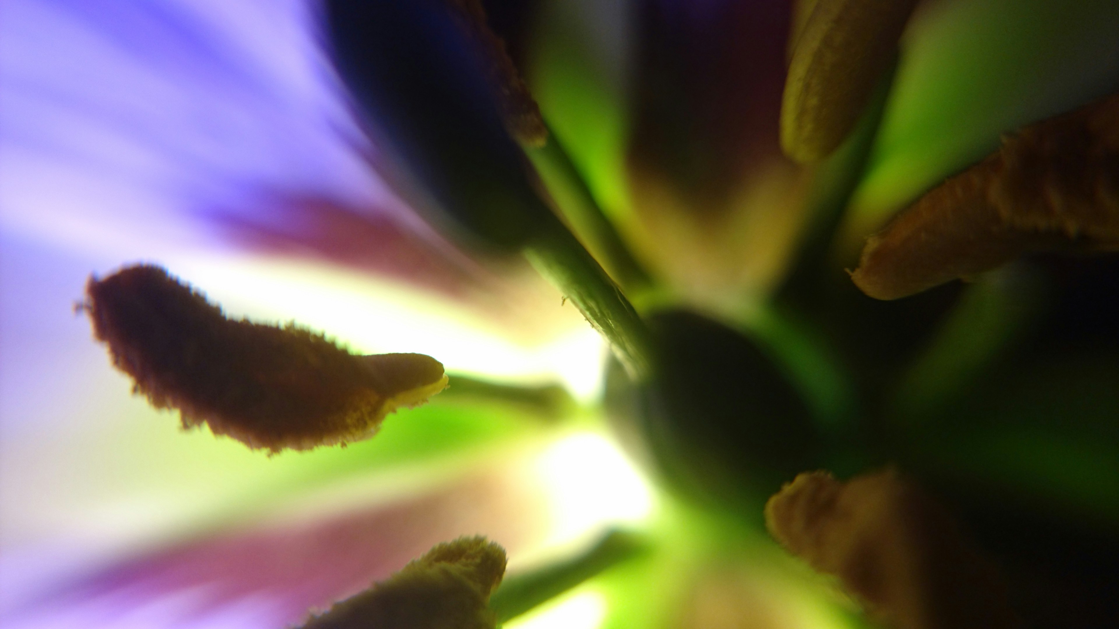 Photo by alternativeminerva