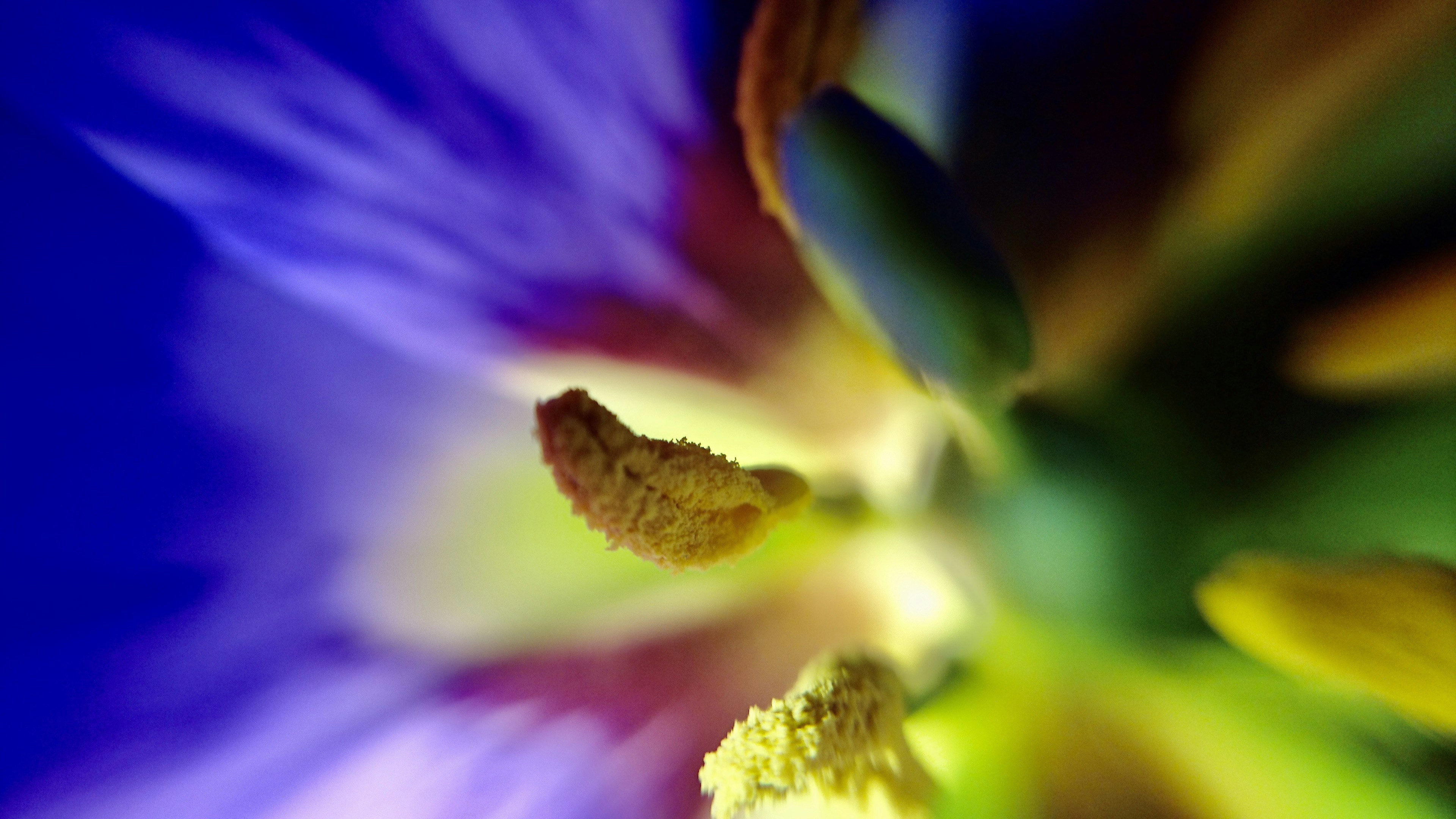 Photo by alternativeminerva