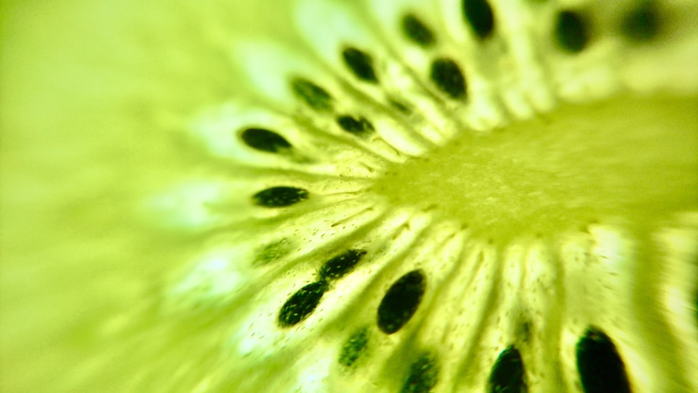 green and black round fruit