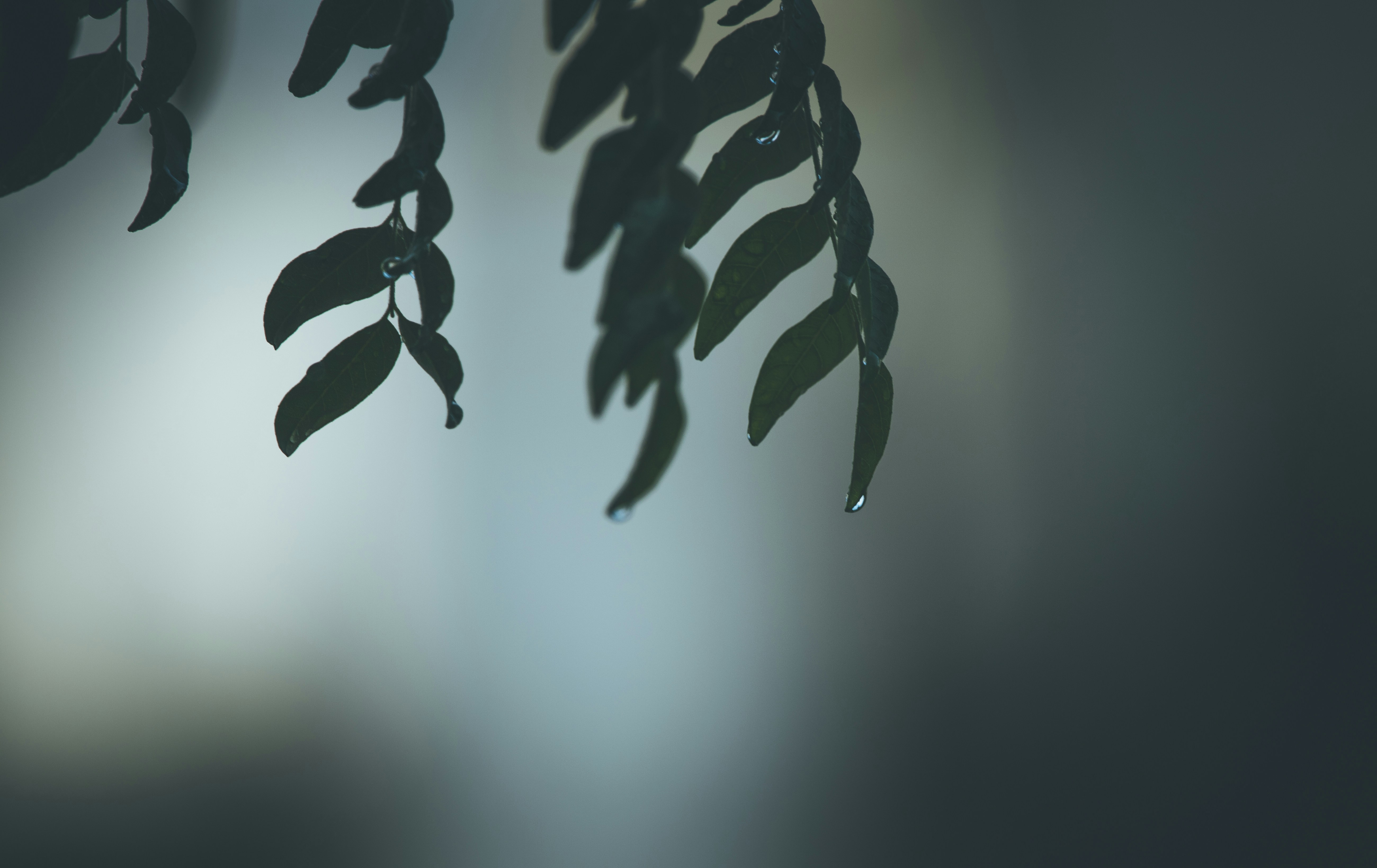 Photo by wildandbeyondbyvivek