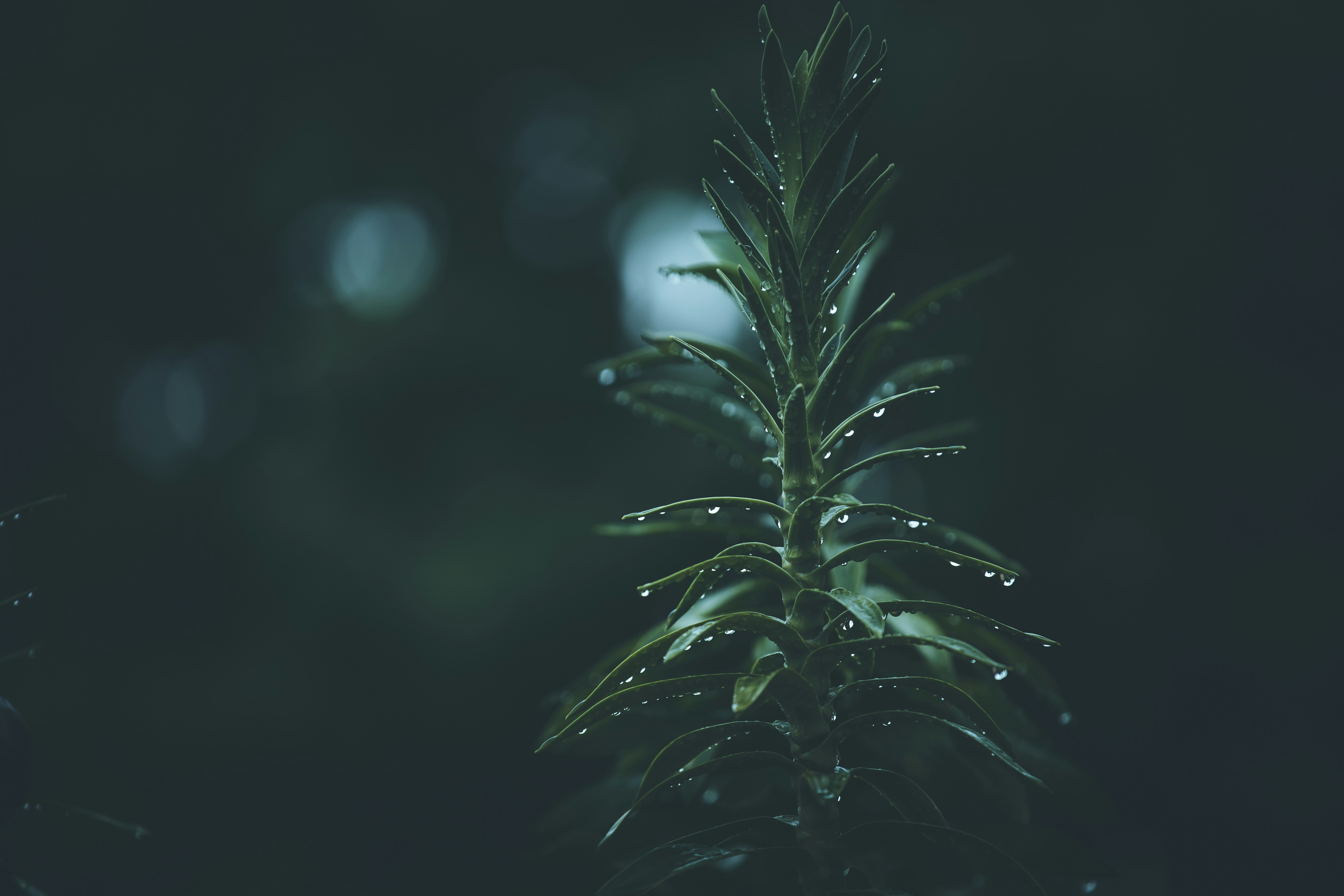 Photo by wildandbeyondbyvivek