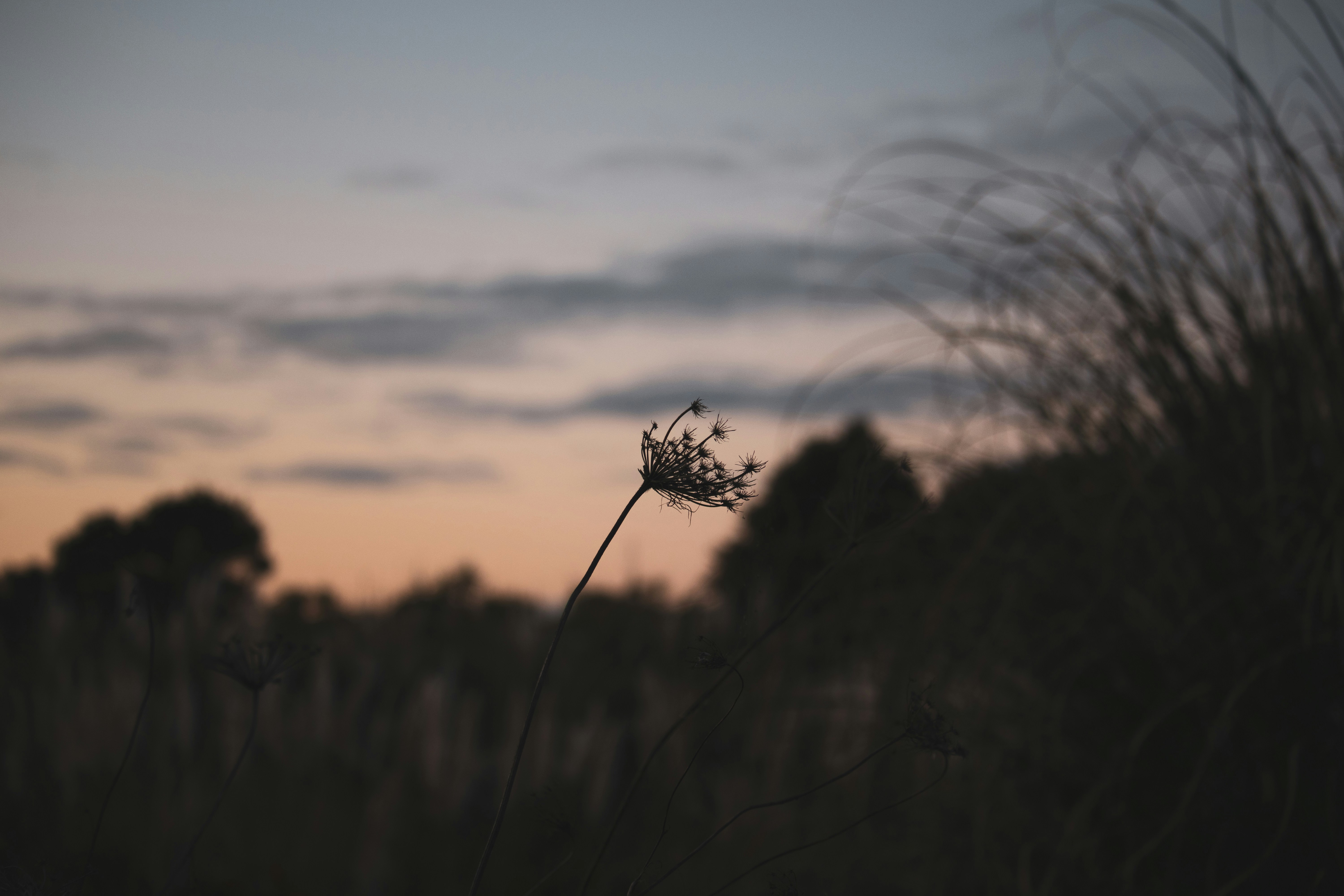 Photo by fightagainstthedyingofthelight