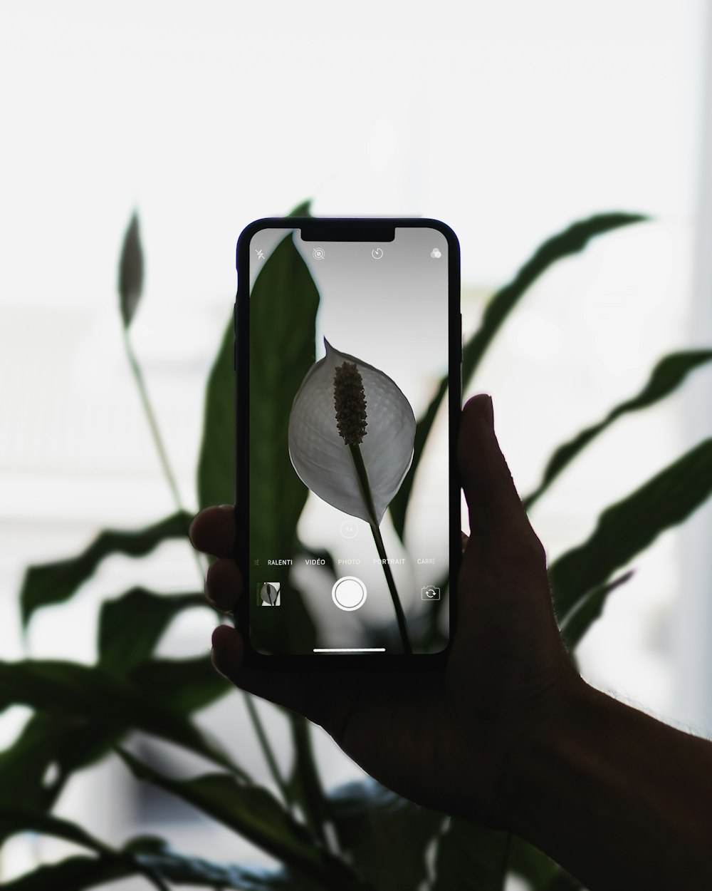 person holding silver iphone 6