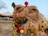A camel adorned with colorful decorations including pom-poms, ribbons, and beads is standing in an outdoor setting. The background shows part of a tent and a tree, likely in a desert environment.