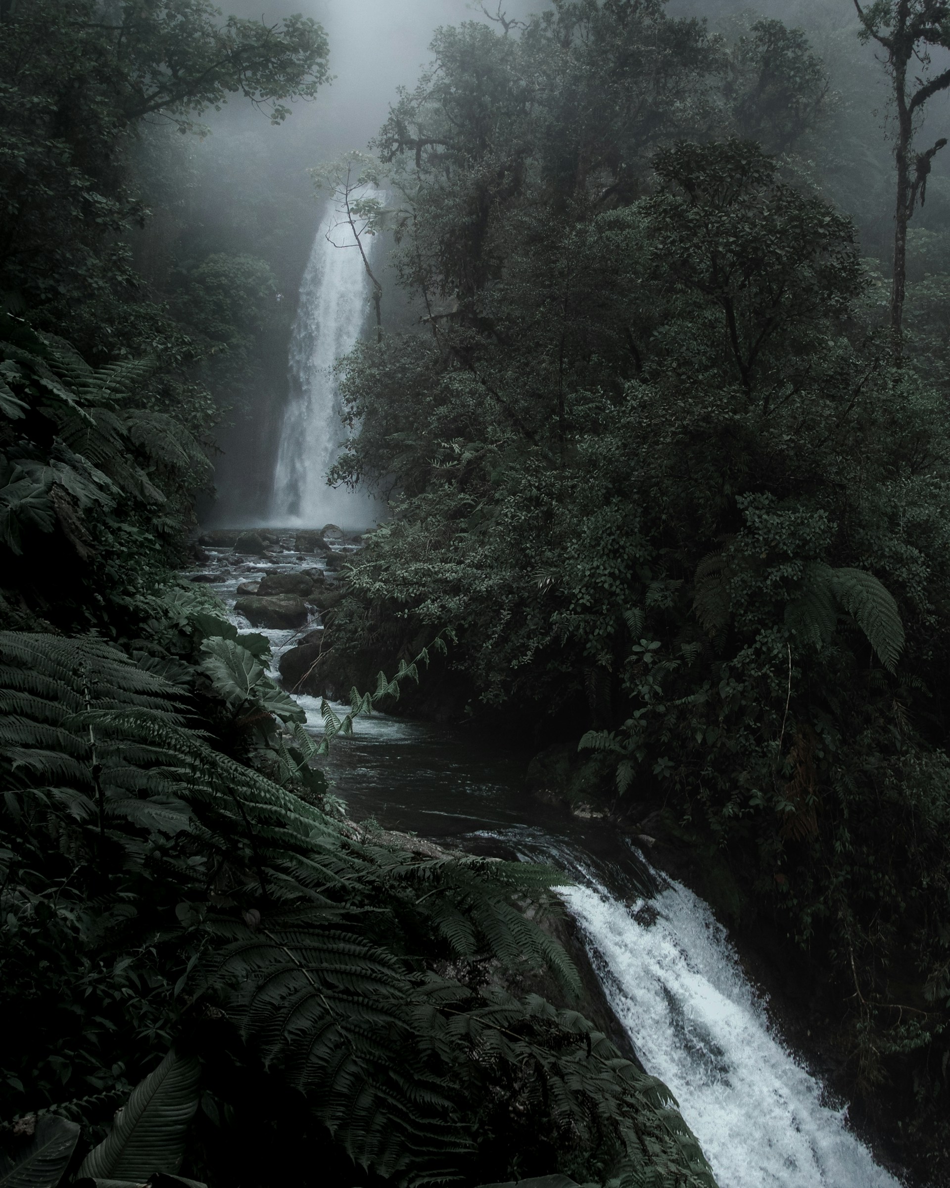 A tranquil shot of the cascading waterfall near the resort, surrounded by dense forest and mist.