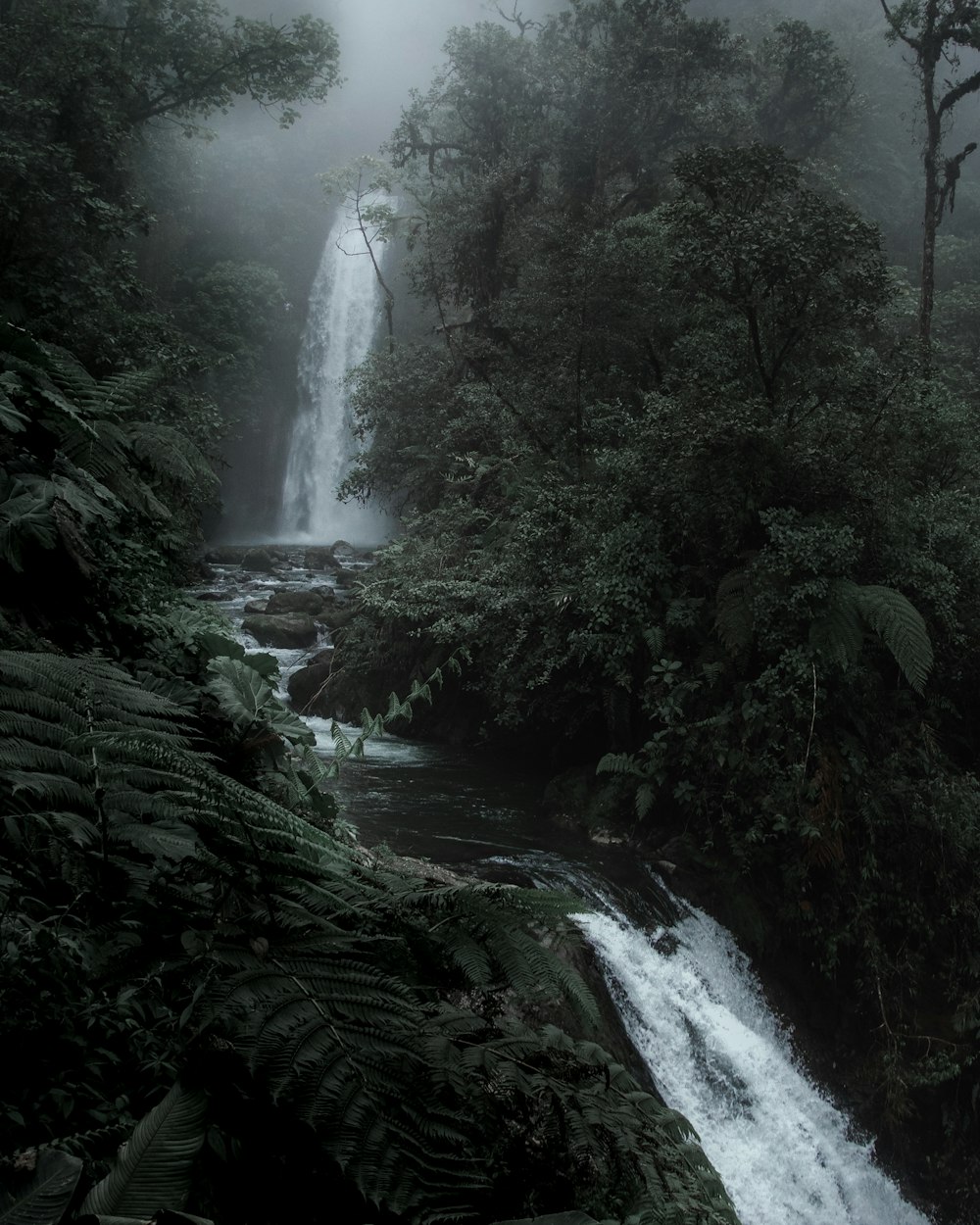 water falls in the middle of the forest