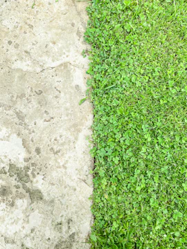 Freshly poured concrete driveway with clean edges