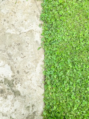 Before and after of a freshly poured concrete driveway with clean, sharp edges.