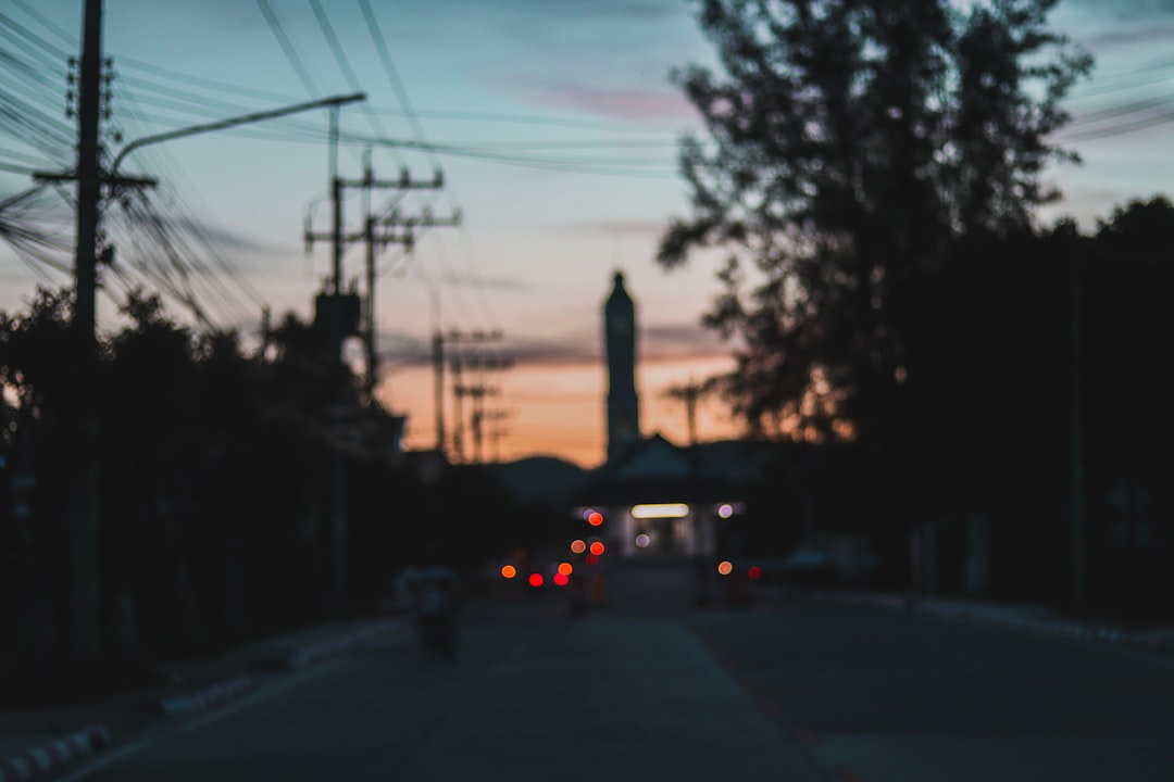 cars on road during sunset