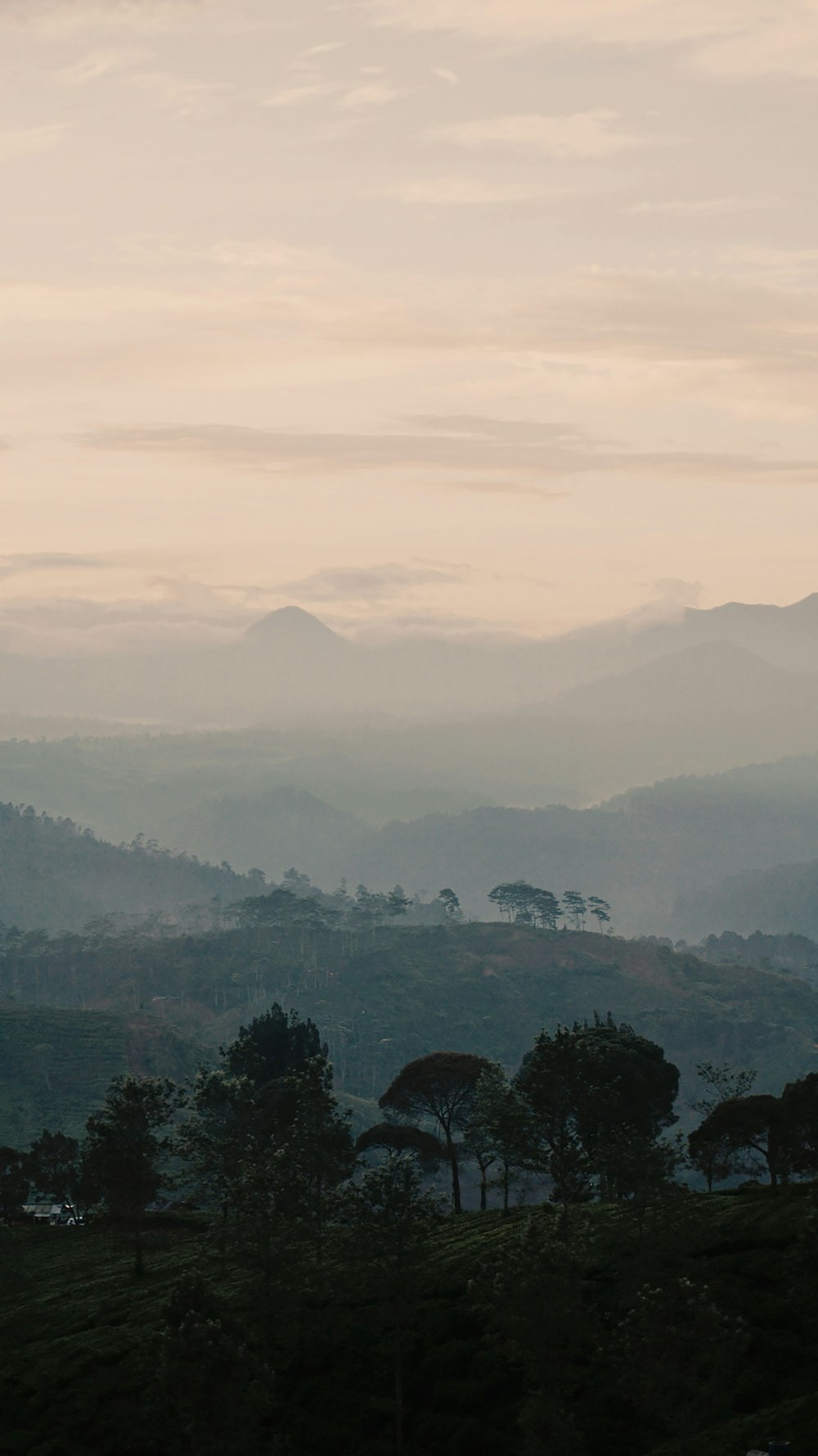 green trees and mountains during daytime