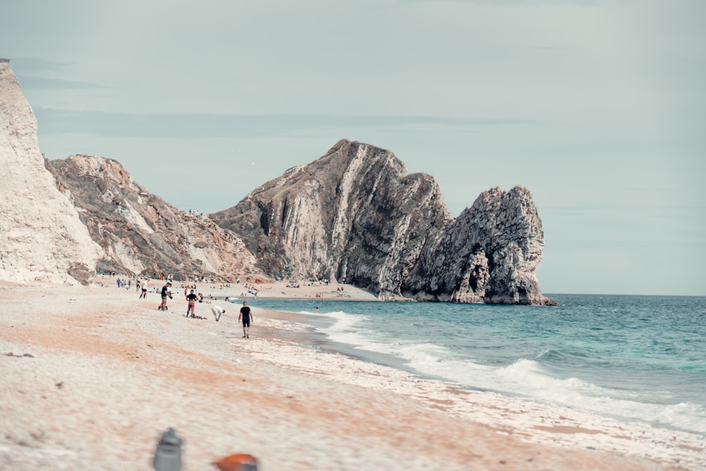 people on beach during daytime