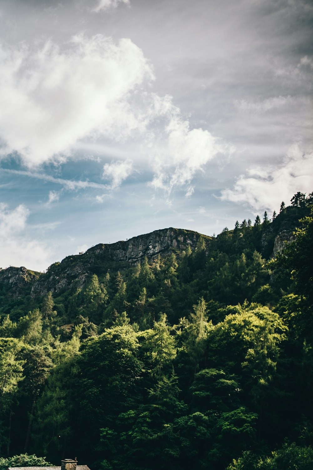 green trees on mountain under blue sky during daytime