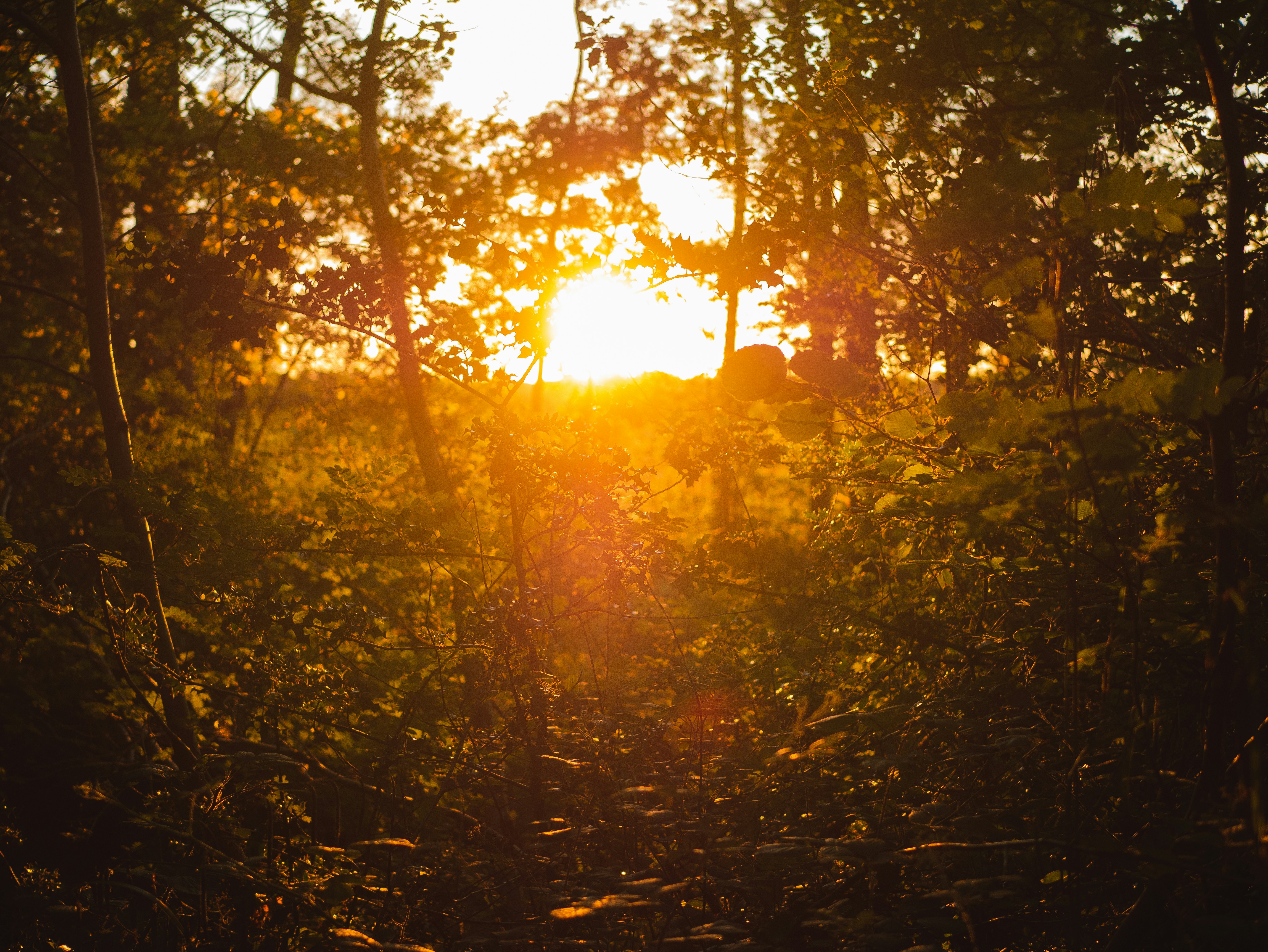 Photo by markussaetran