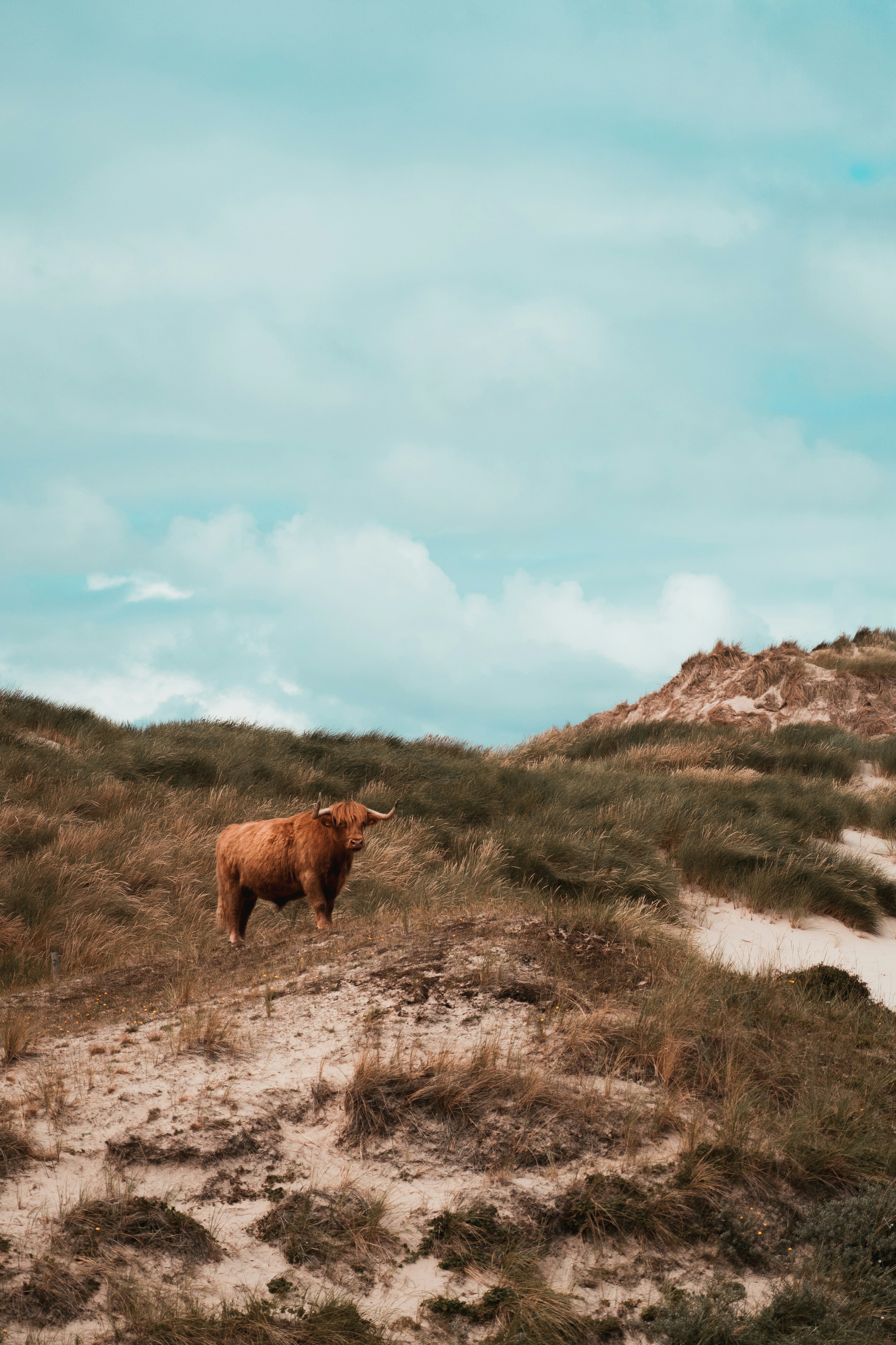 Photo by mitchelanneveldt