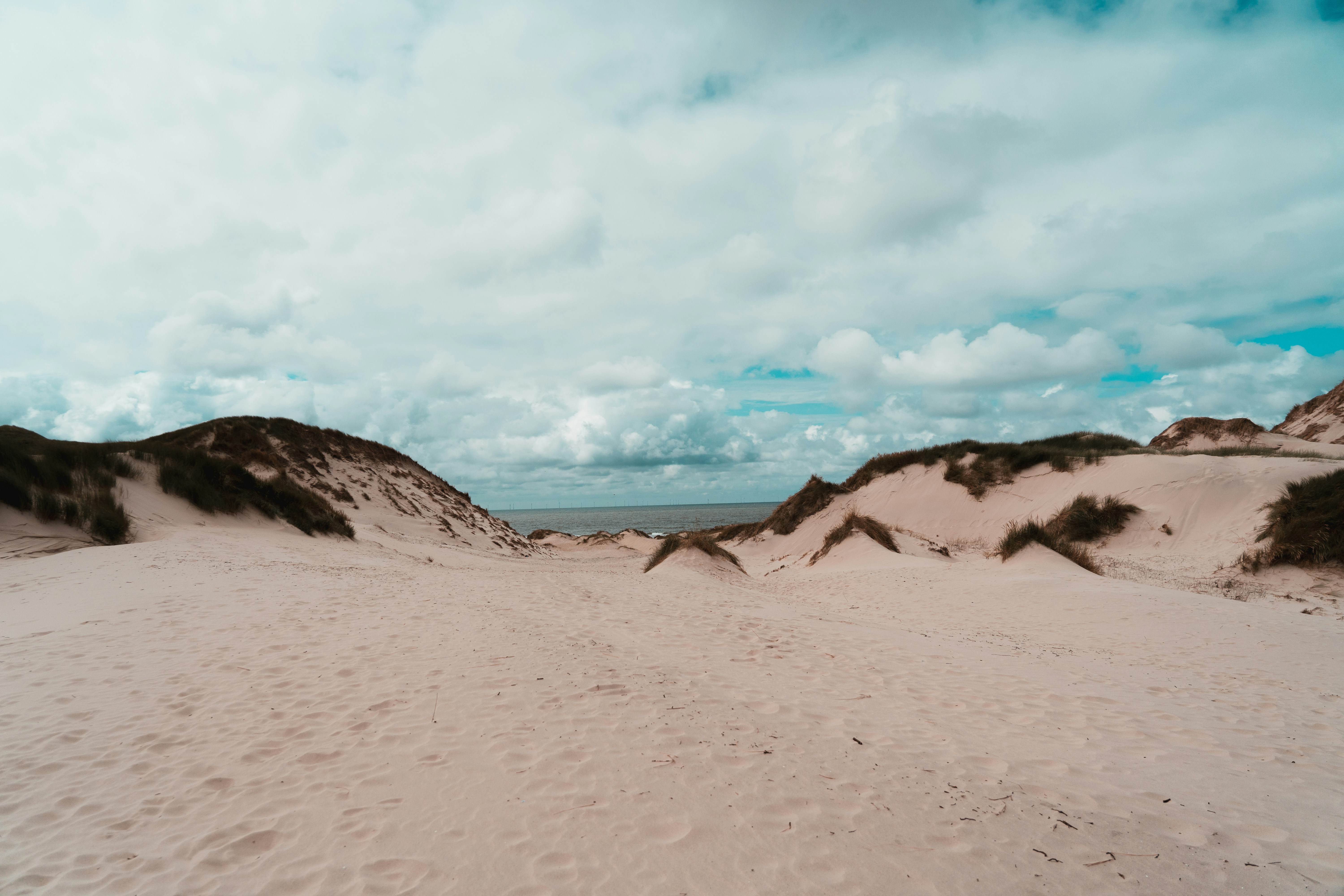 Photo by mitchelanneveldt