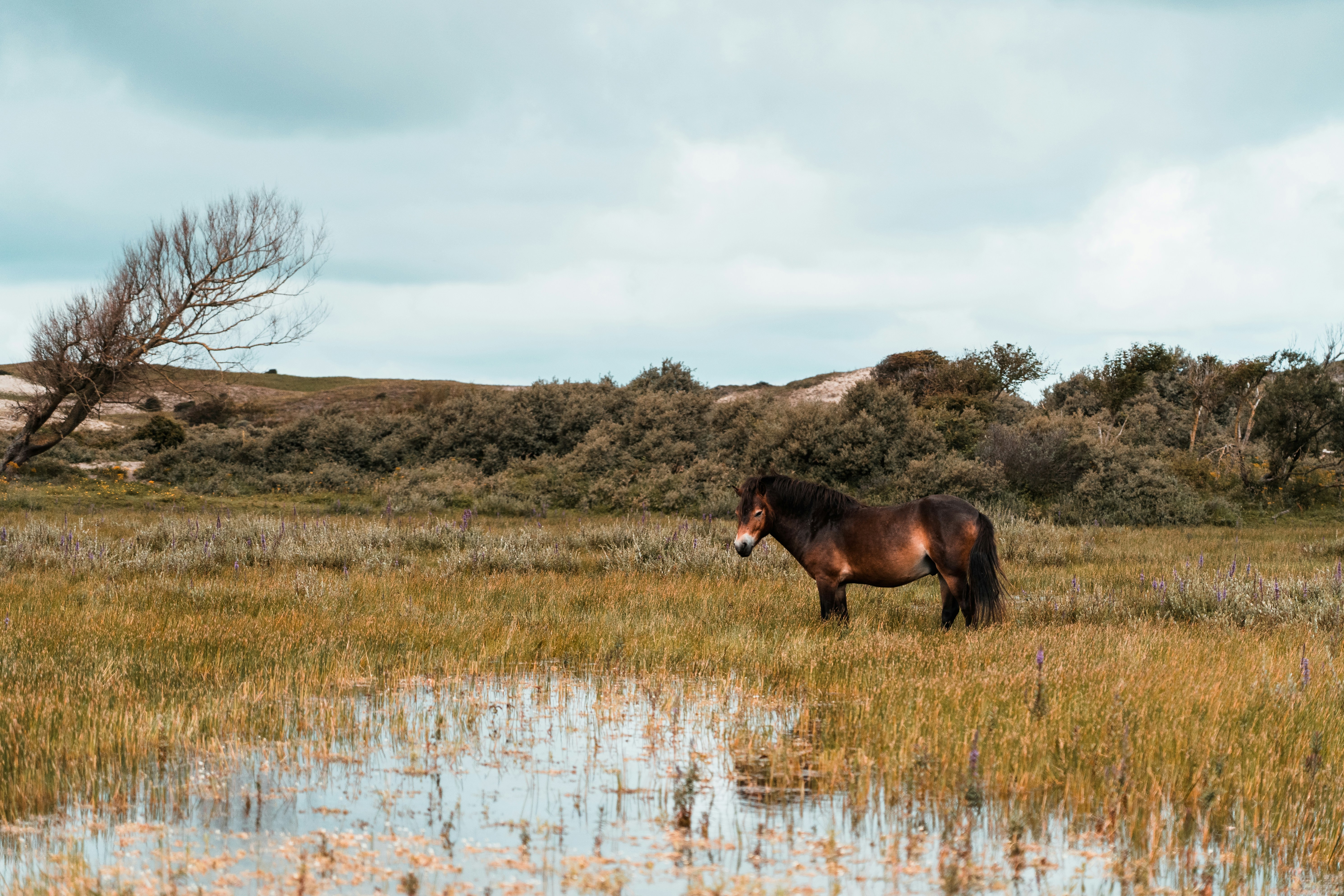 Photo by mitchelanneveldt