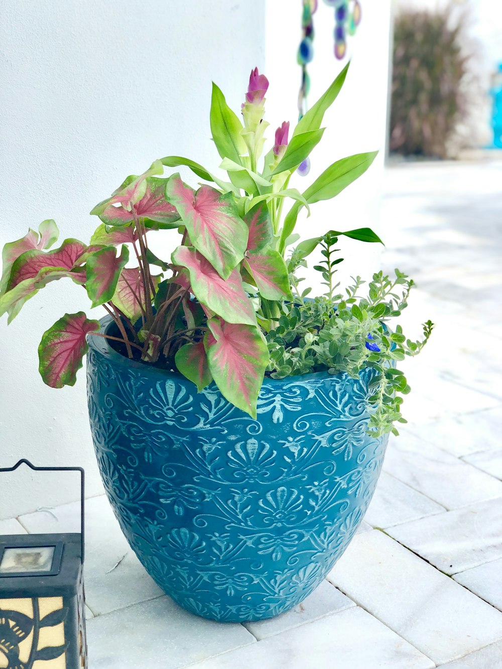 青い陶器の花瓶に紫の花