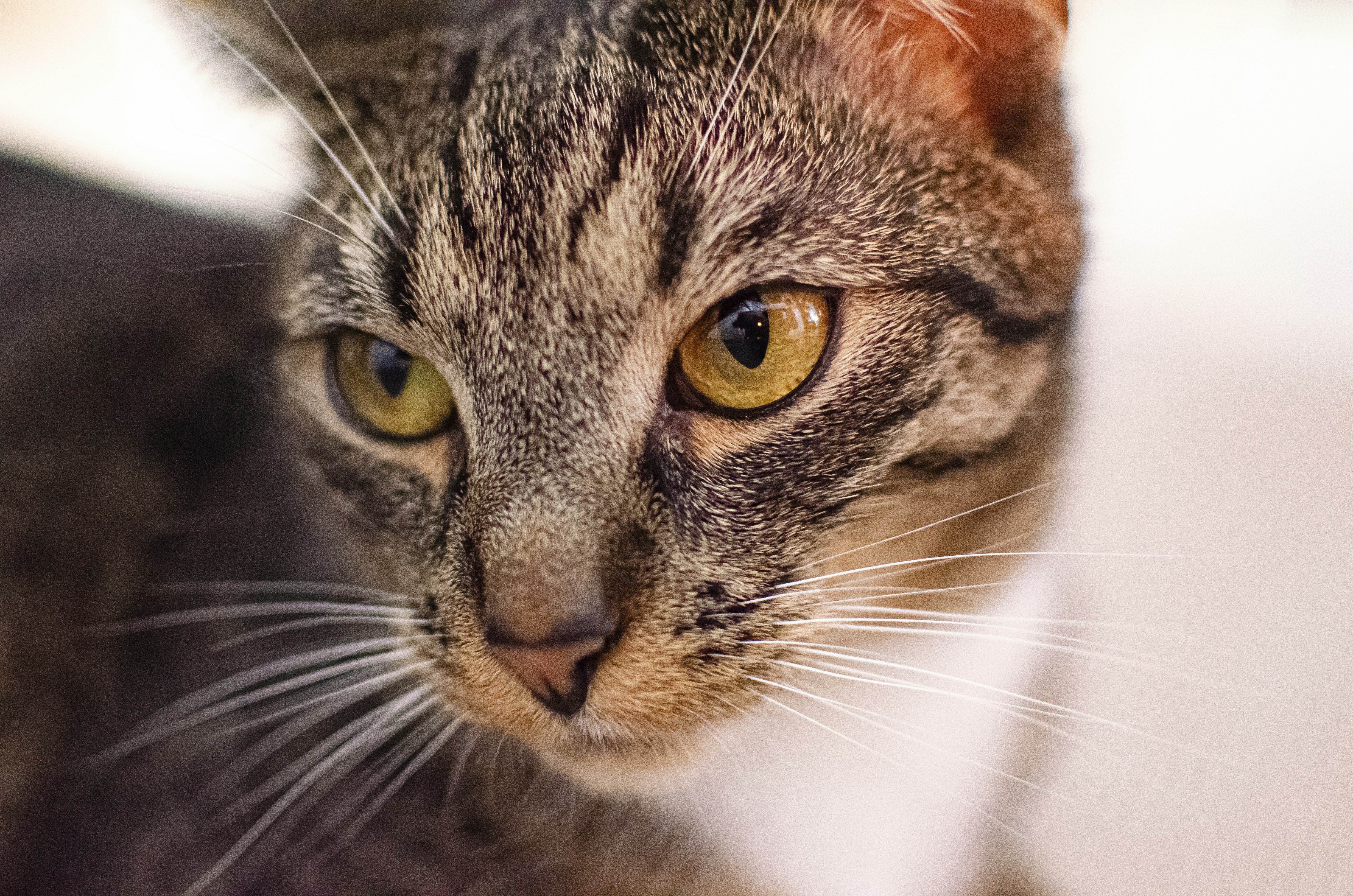 Photo by sylwiabartyzel