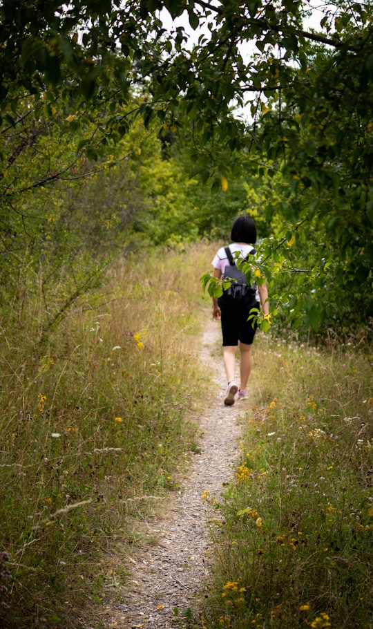 woman in black dress walking on green grass during daytime in Alsace France