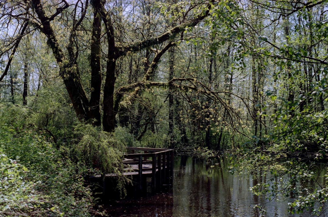 Forest photo spot North Vancouver Langley