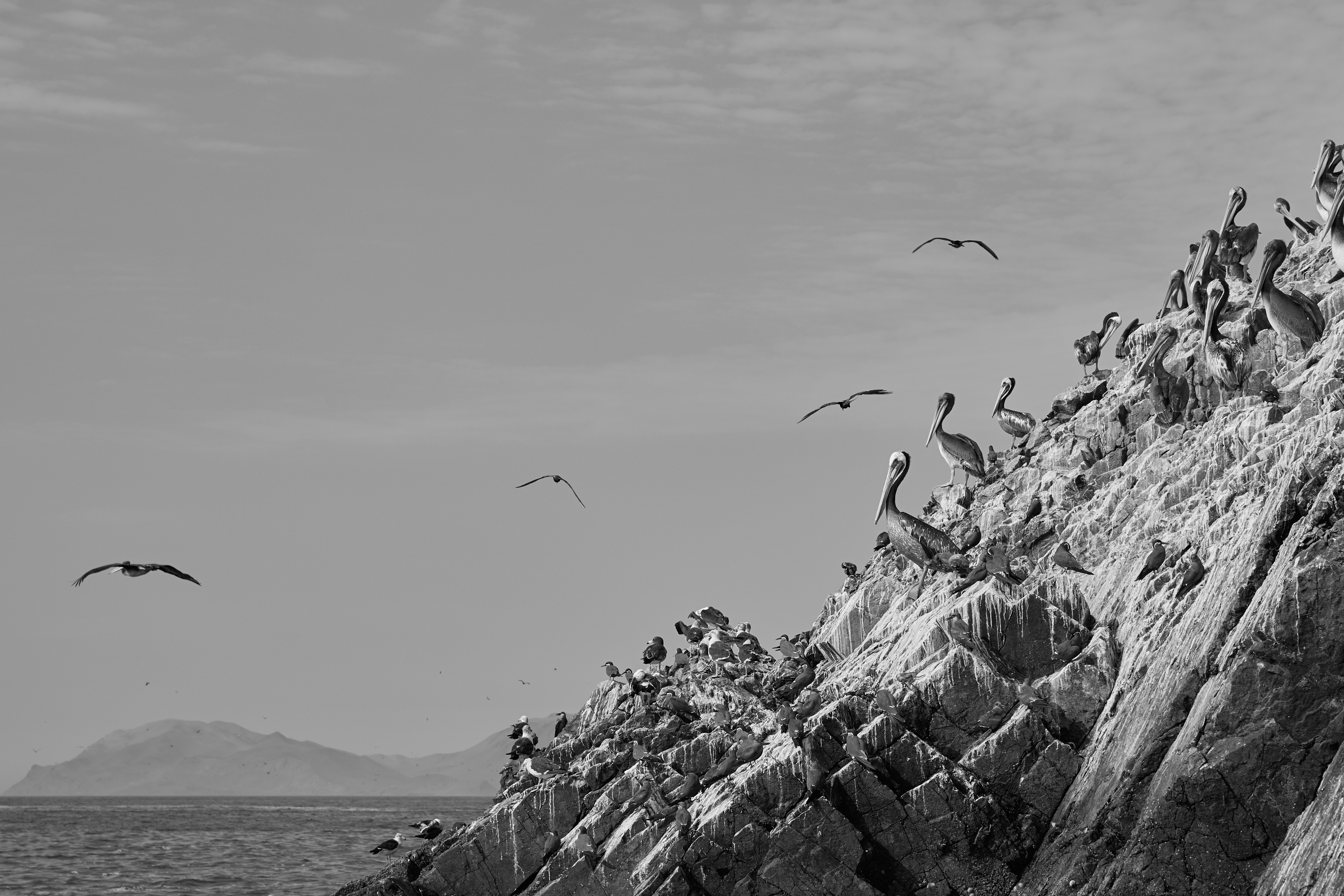 Photo by simonhaefliger