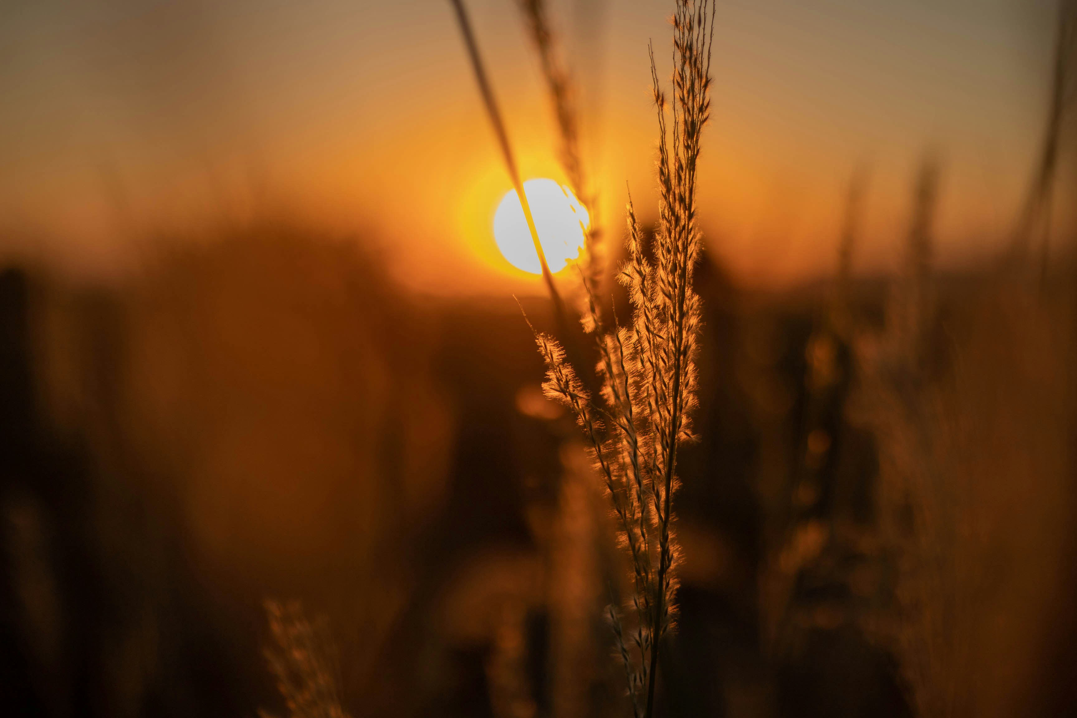 Photo by gabyhsantana