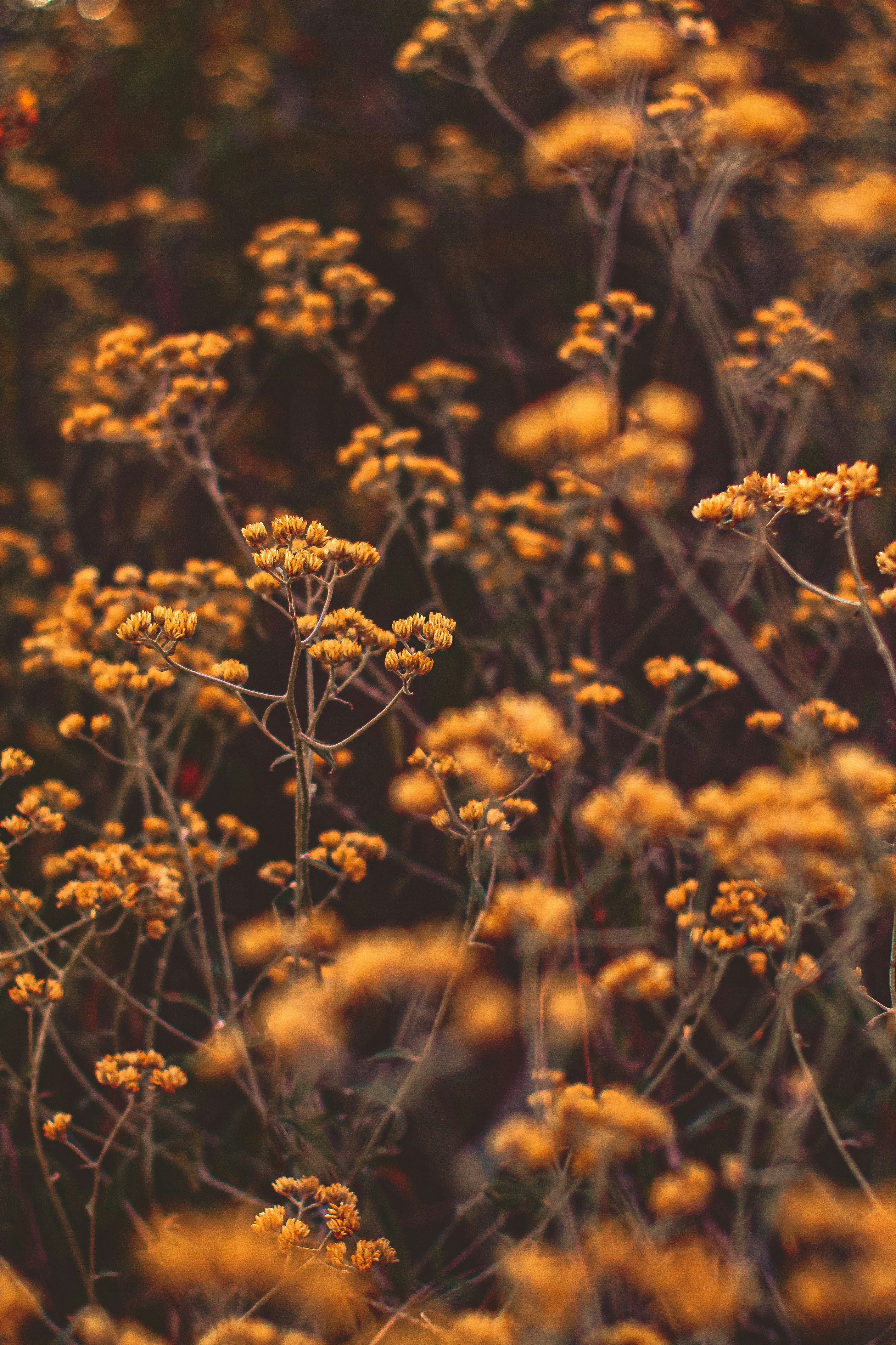 Photo by matheushenrin