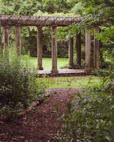 Modern pergola structure surrounded by lush landscaping and a stone pathway.