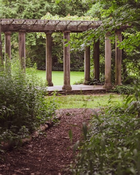A serene backyard with a paver path and lush greenery.