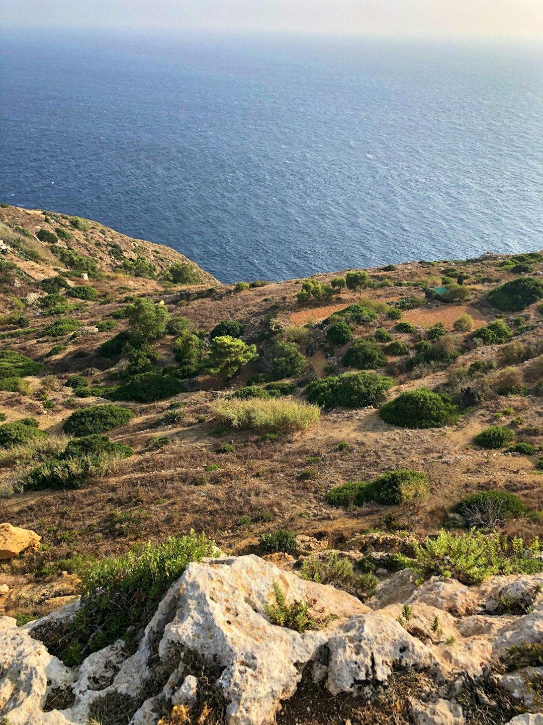 Ecoregion photo spot Dingli Għajn Tuffieħa
