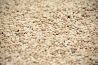 brown and white pebbles in close up photography