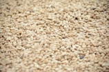 Premium Turkish Sesame Varieties for wholesalers and exporters