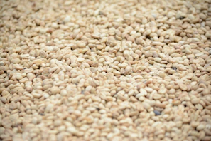 brown and white pebbles in close up photography