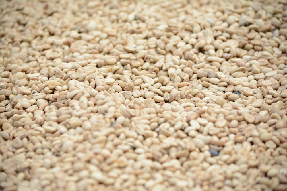 brown and white pebbles in close up photography