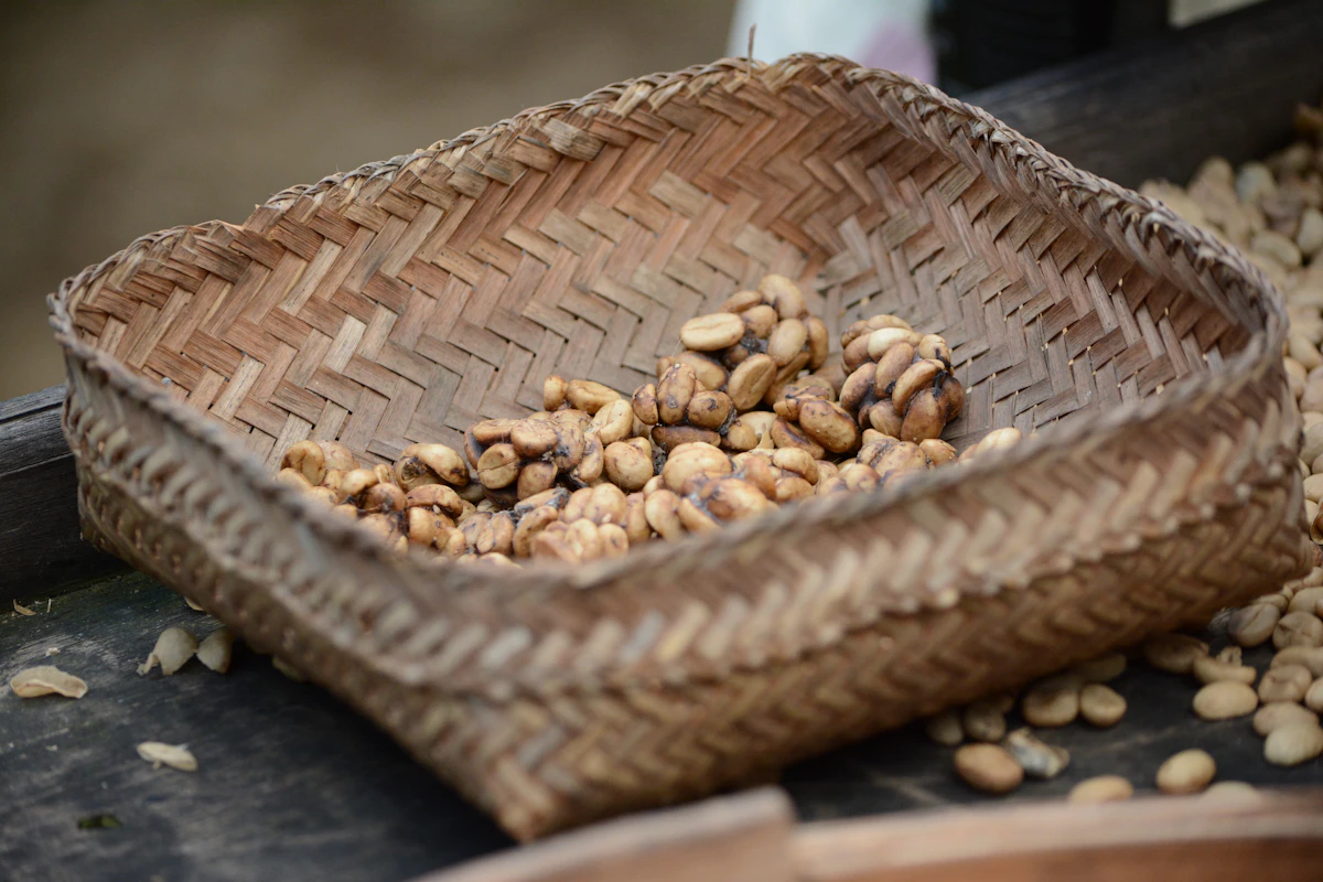 Proses fermentasi biji kakao dalam kotak kayu — tahap krusial yang menentukan kualitas kakao Indonesia di pasar Eropa