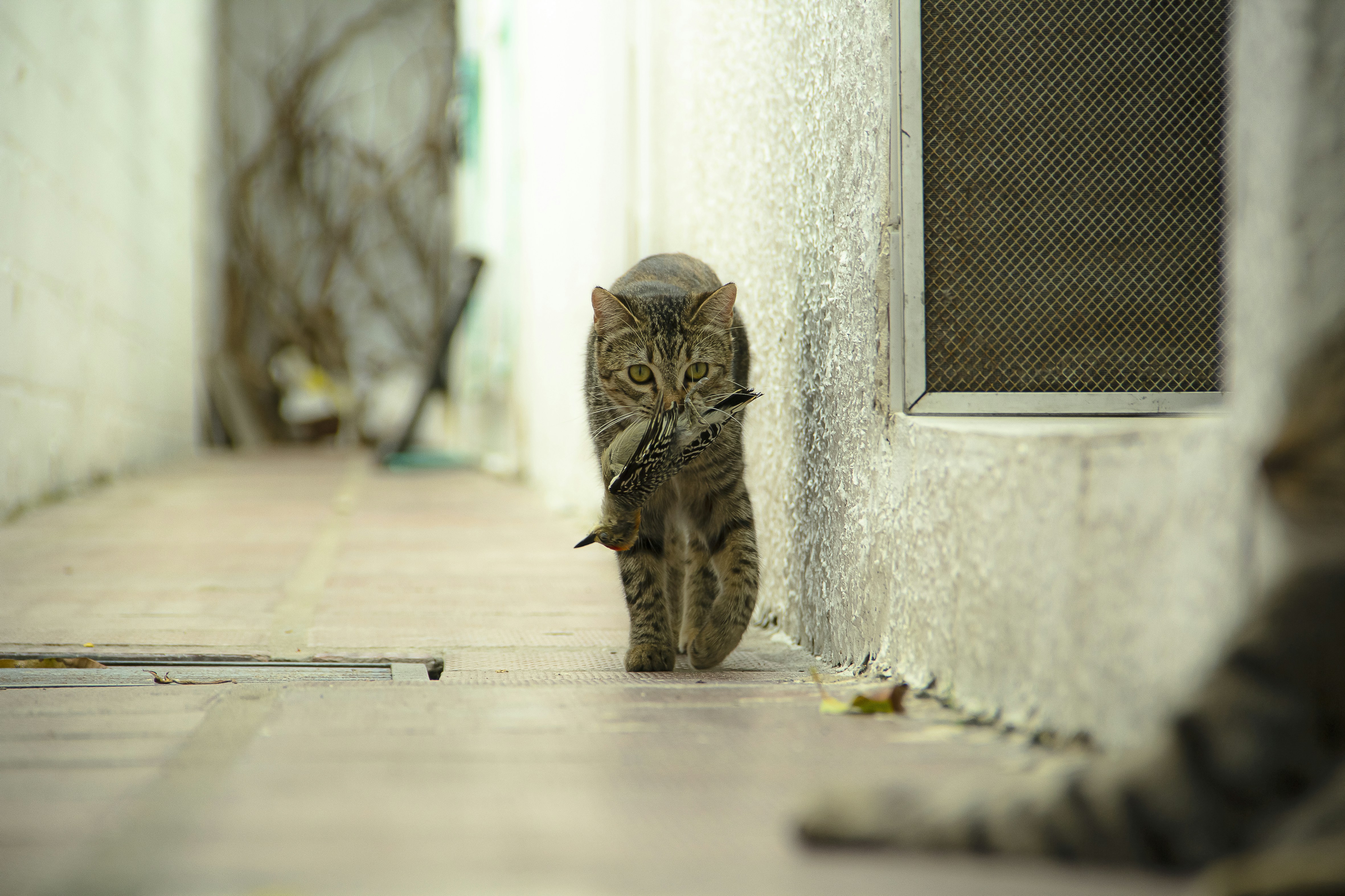 Photo by andresloquesea