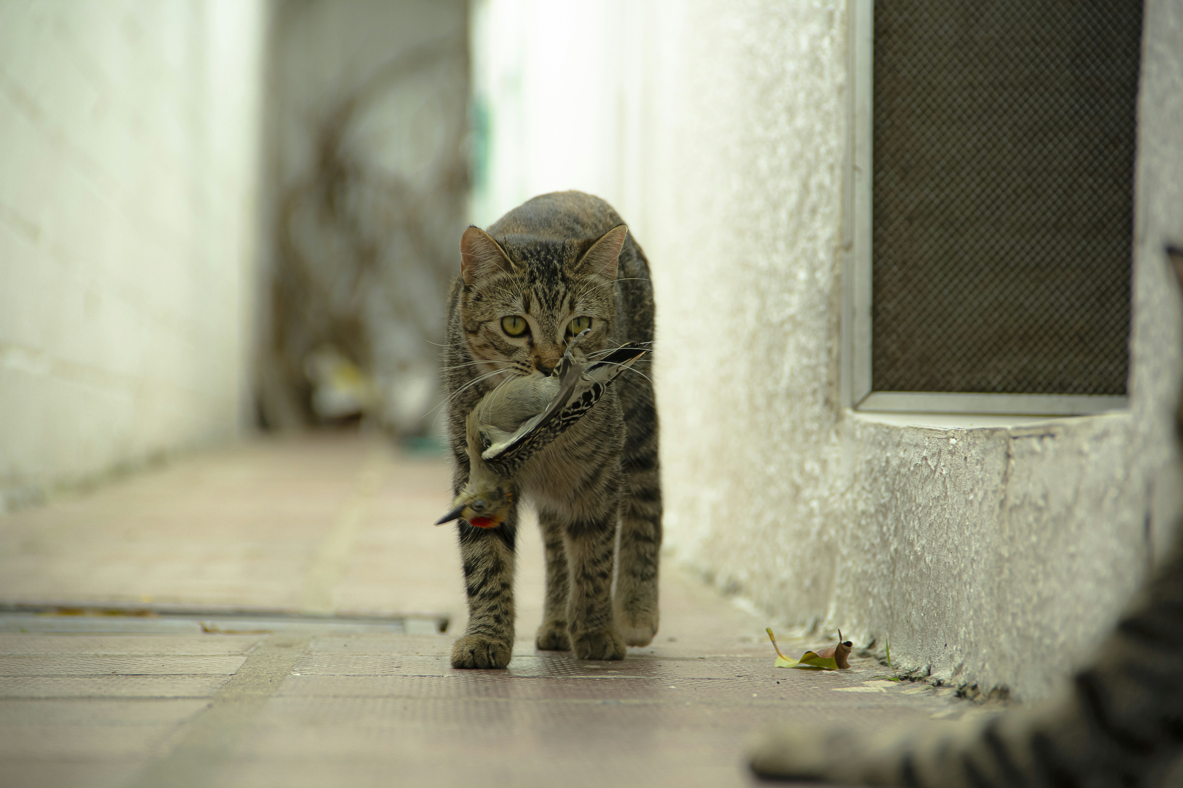 13. Masters of the Ambush (image credits: unsplash)