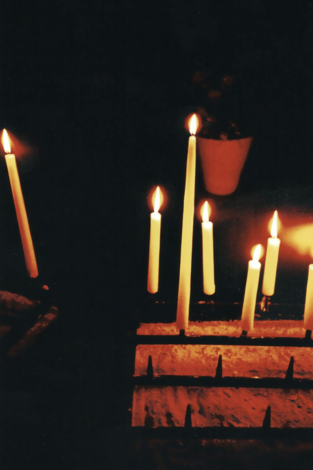 candles on brown wooden holder