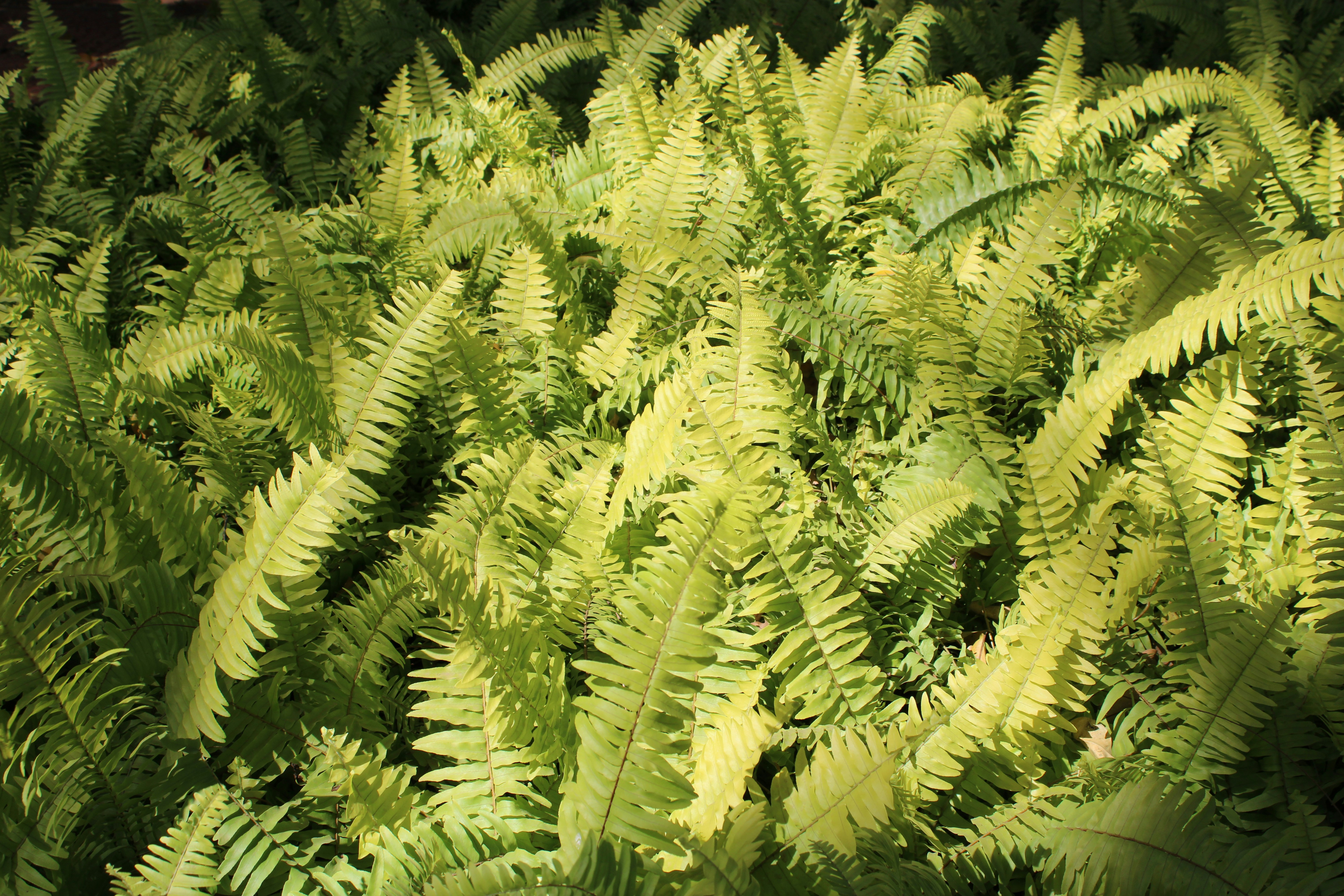 Photo by siddhantmunot