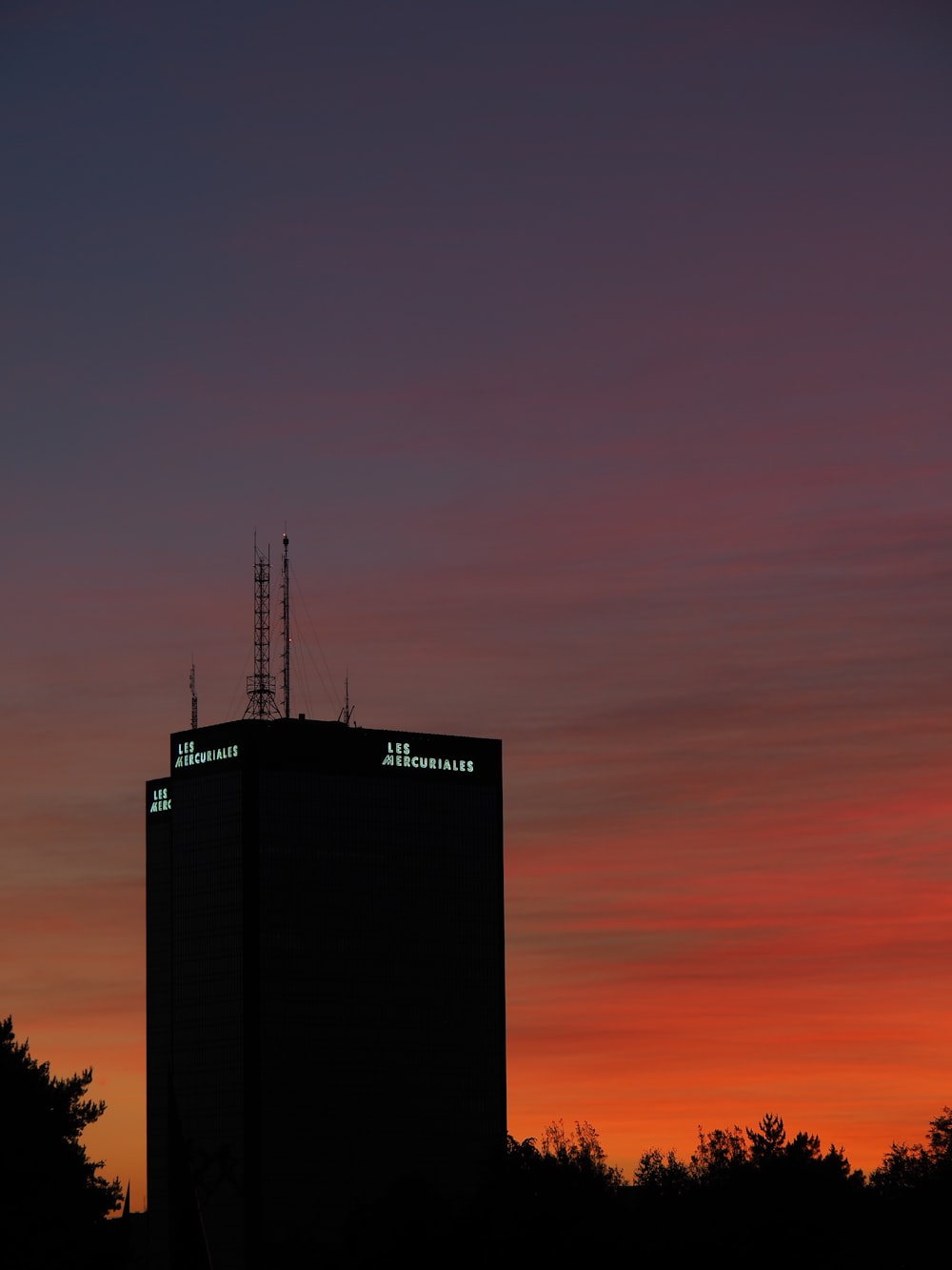 black and white building near trees during sunset