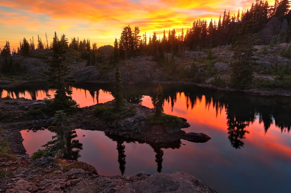 green trees beside body of water during sunset