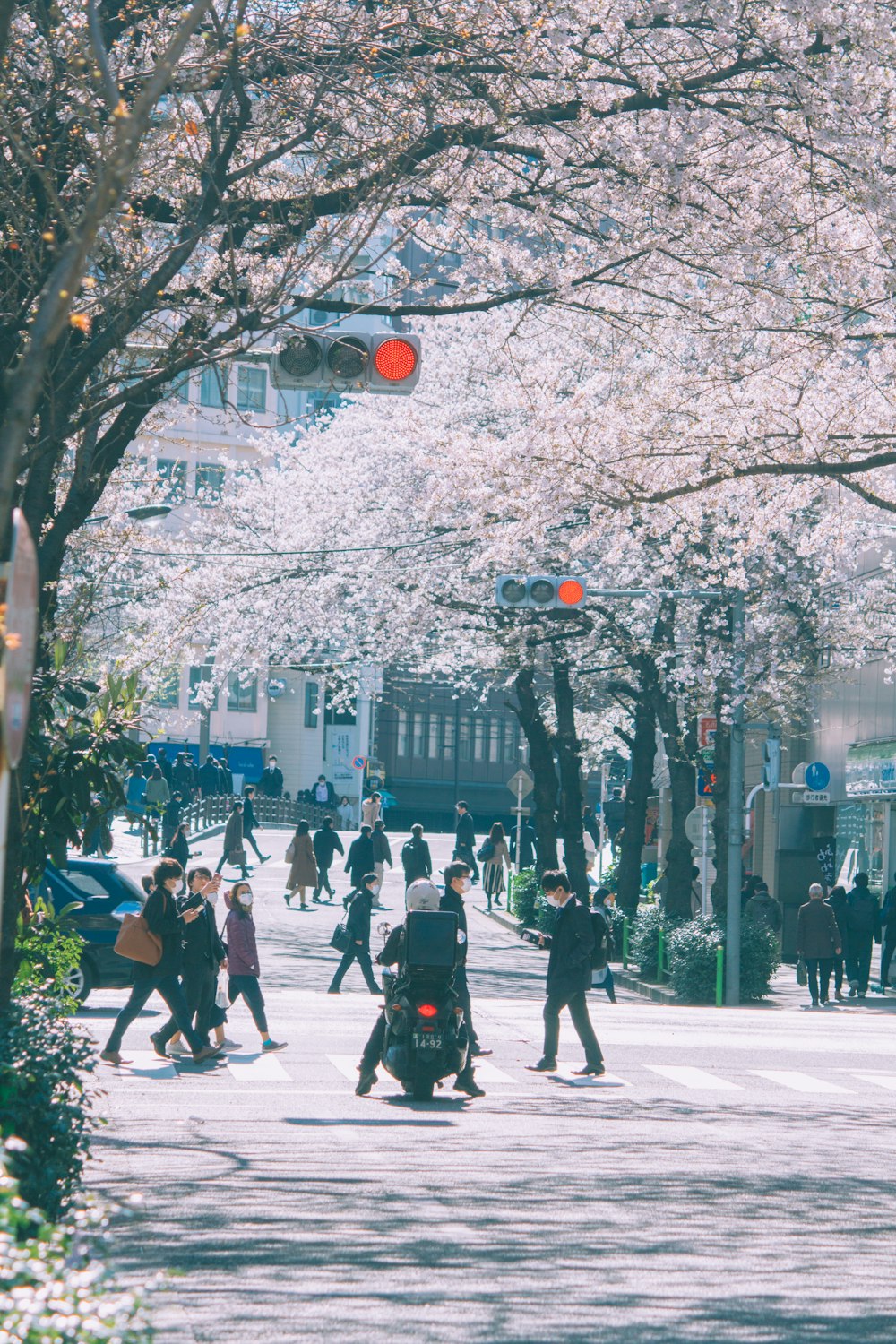 people walking on street during daytime