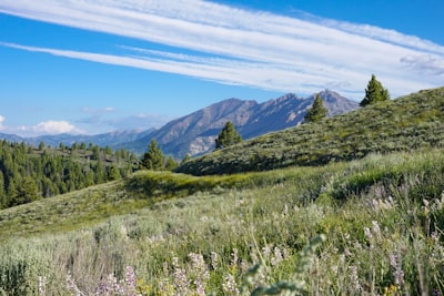 Sawtooth National Recreation Area