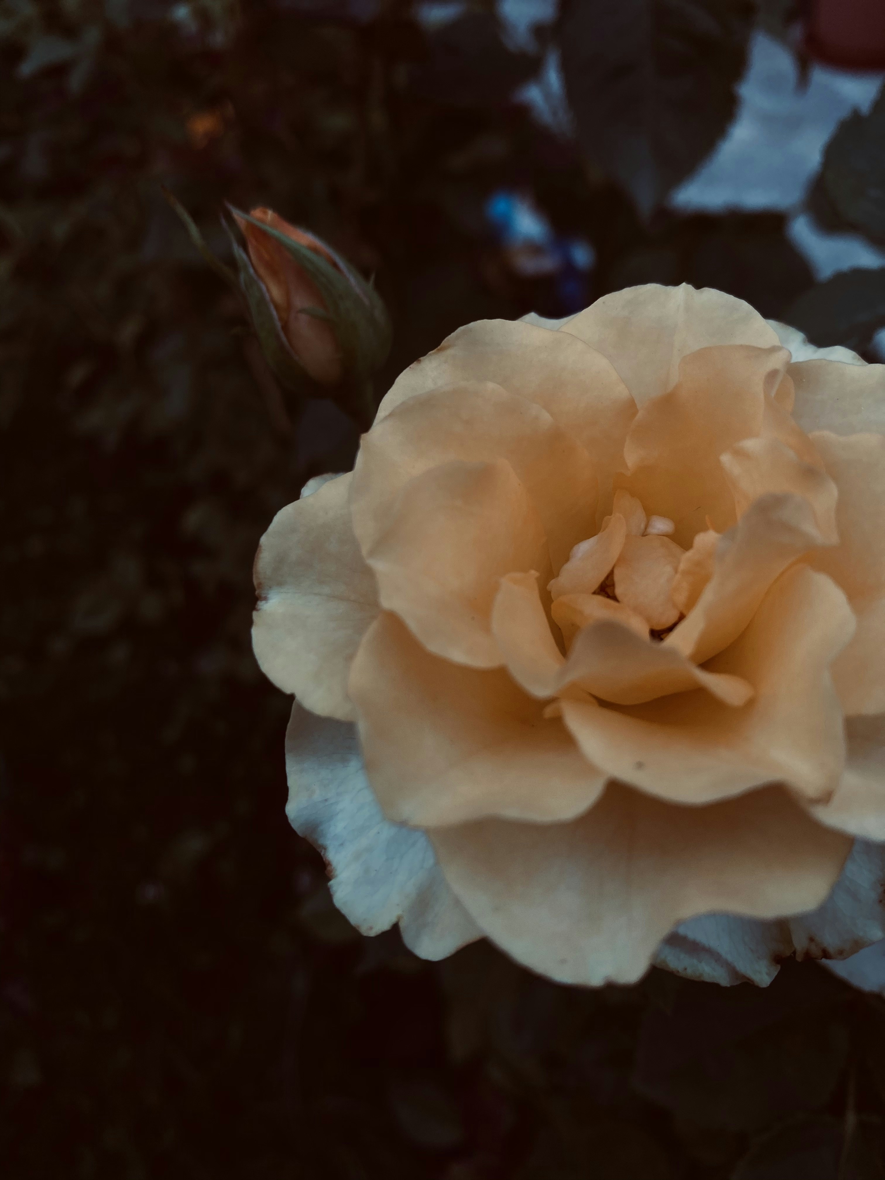 Photo by brandiix