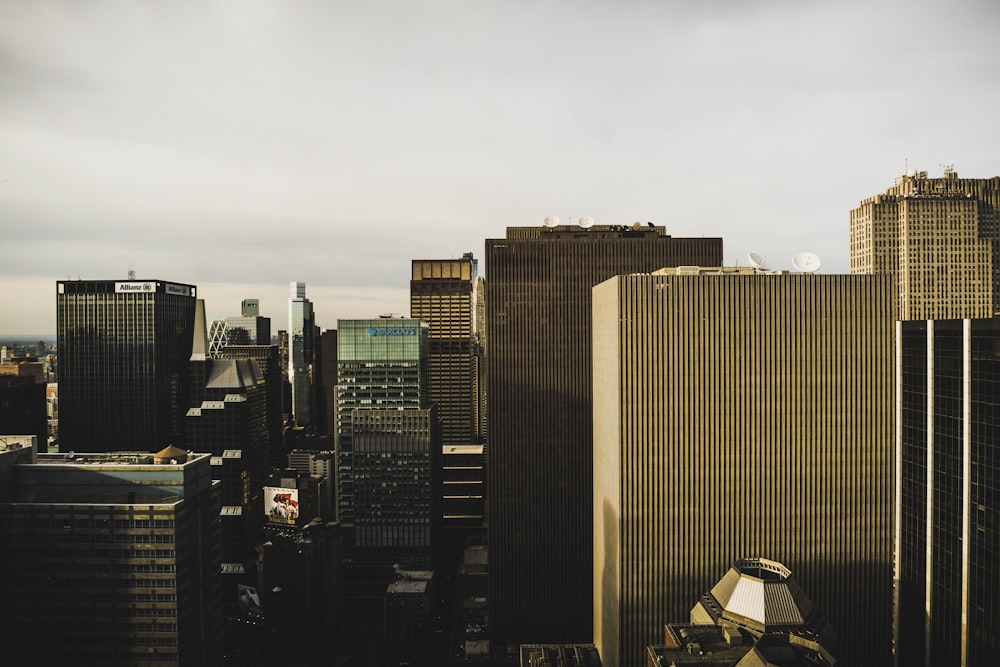 high rise buildings during daytime