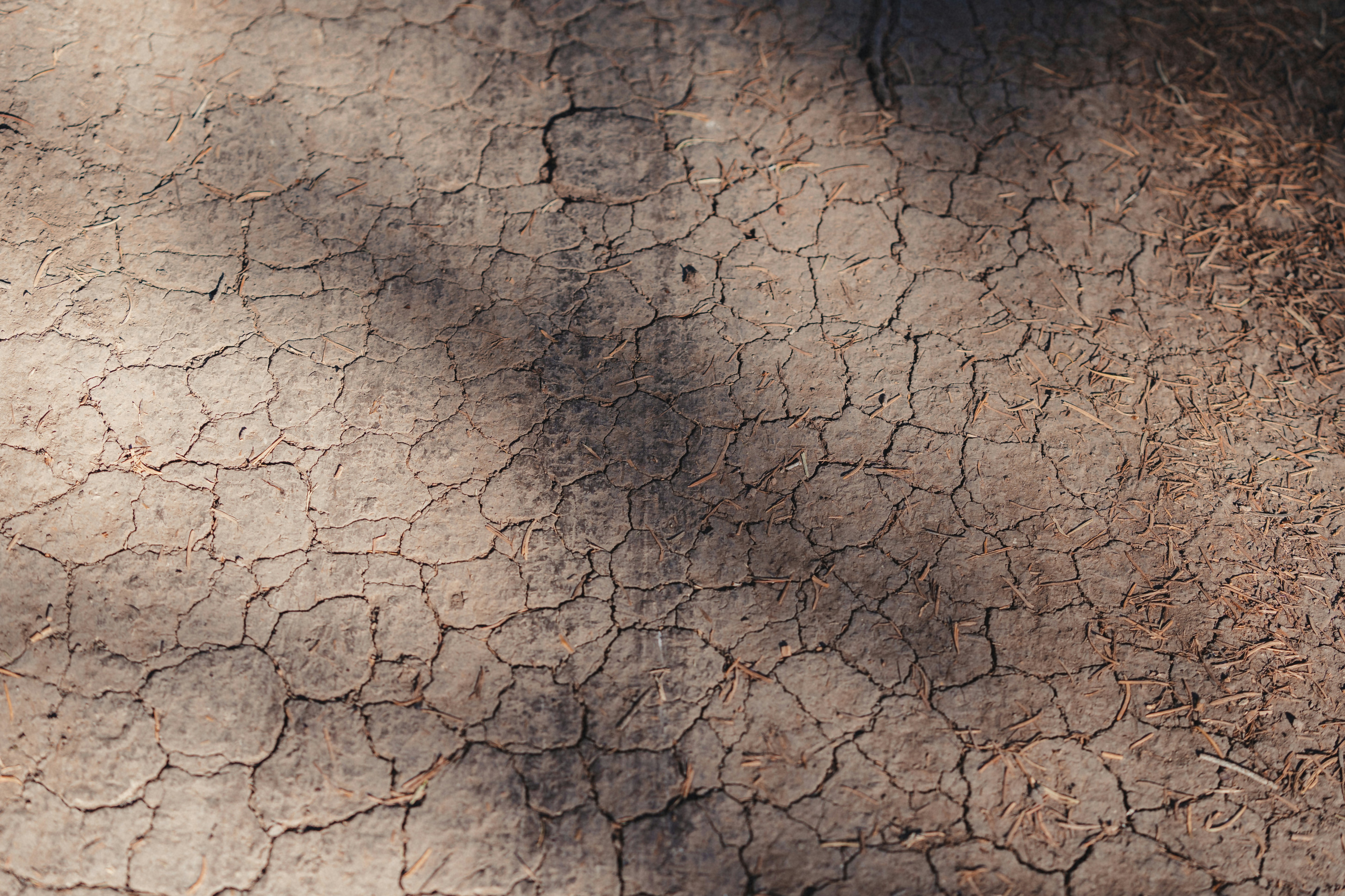 Photo by lucas_davies