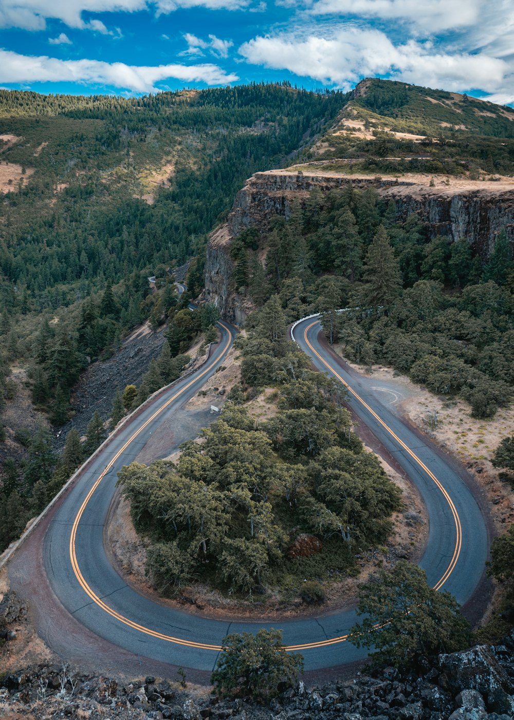 aerial view of road between trees during daytime